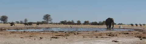 NxaiPan1706.jpg