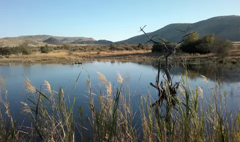 Pilanesberg2005.jpg