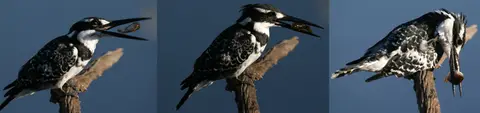 Pilanesberg2008.jpg
