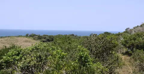 Viewpoint2.jpg