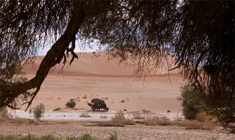 Vlei4.jpg