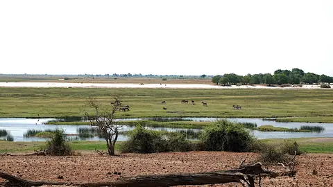 K14-LandschaftChobe.jpg