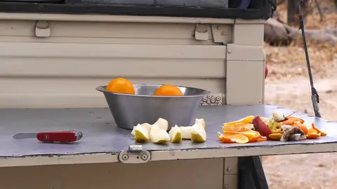 K8-gesund.jpg