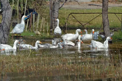 comp_DSC_2981.jpg