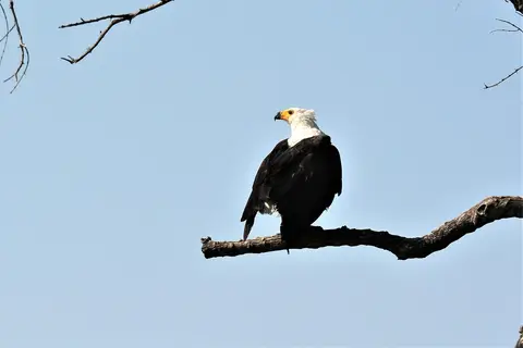 comp_DSC_3213.jpg