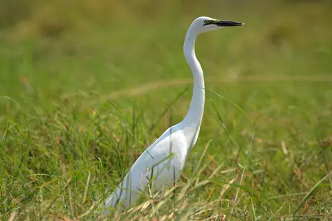 comp_DSC_3478.jpg