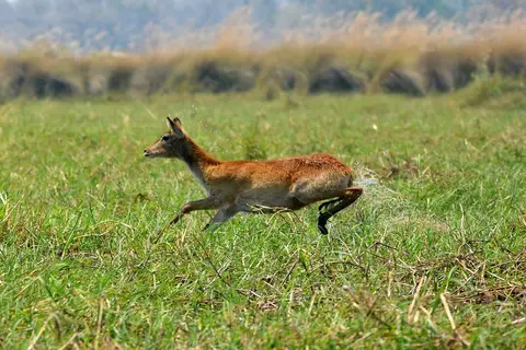 comp_DSC_3610.jpg