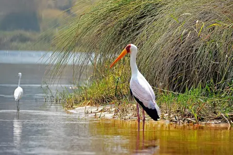 comp_DSC_3762.jpg