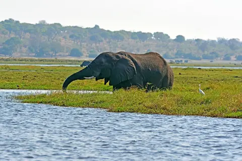 comp_DSC_3912-2.jpg