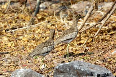 comp_DSC_3962.jpg