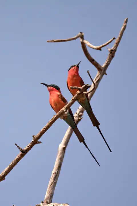 comp_DSC_4156.jpg