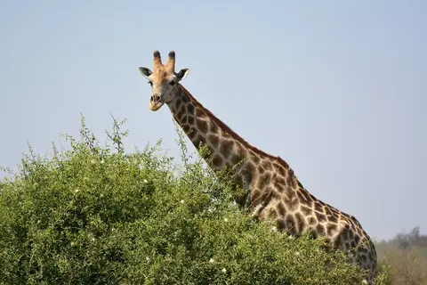 comp_DSC_4242.jpg