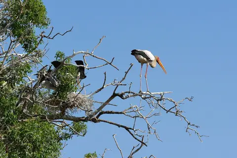 comp_DSC_4311.jpg
