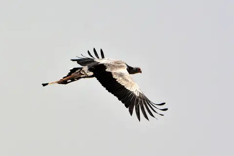 comp_DSC_4547.jpg
