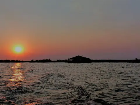 comp_P1080274.jpg