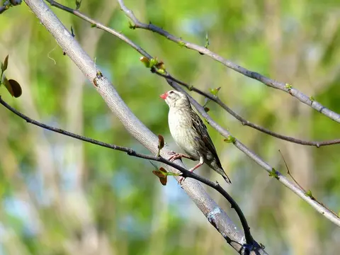 comp_P1090144.jpg