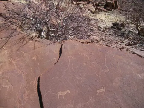 100_0665.JPG