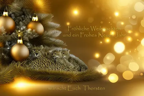 FroheWeihnachten.jpg