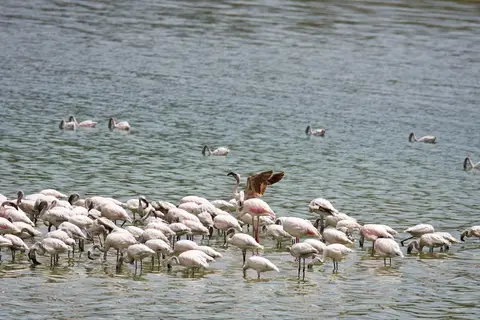 Arusha273.jpg