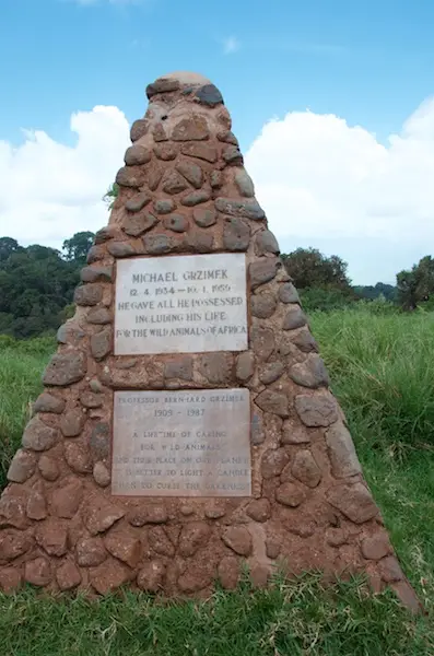 NCA290.jpg