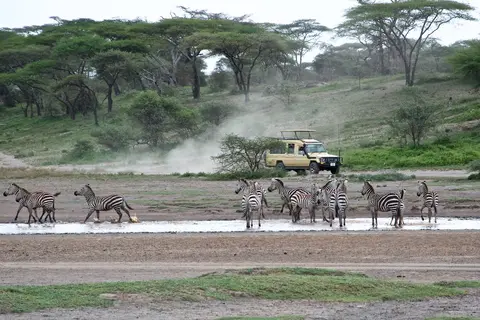 S.Serengeti-L1457.jpg