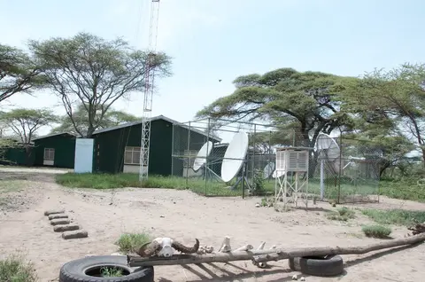 S.Serengeti466.jpg