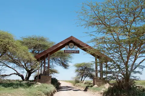 Serengeti525.jpg