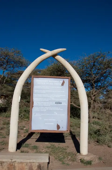 Serengeti527.jpg