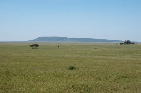 Serengeti556.jpg