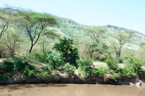 Serengeti612.jpg