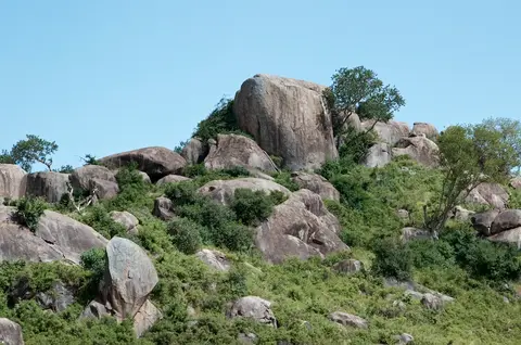 Serengeti635.jpg
