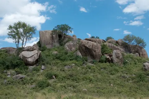 Serengeti636.jpg