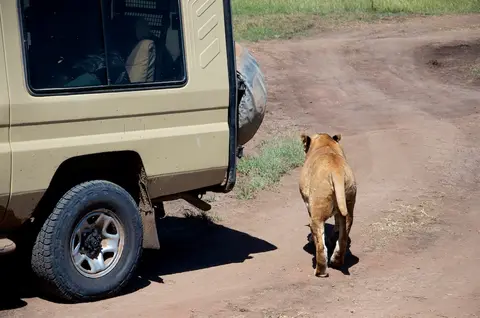 Serengeti662.jpg
