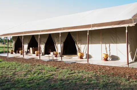 Serengeti_Tortilis585.jpg