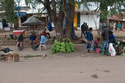 Tarangire275(1).jpg