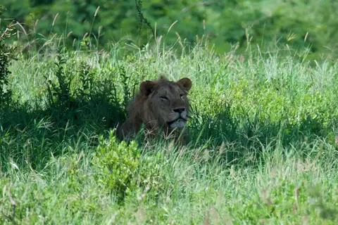 Tarangire285.jpg
