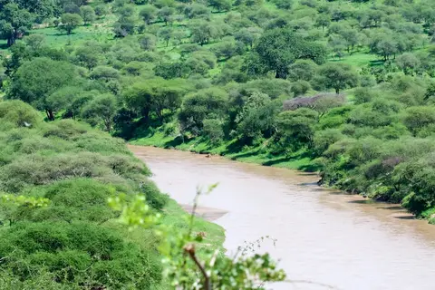 Tarangire288.jpg
