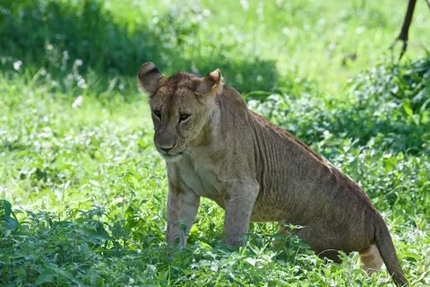 Tarangire293.jpg