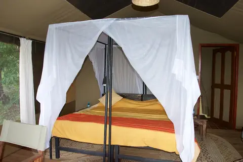 Tarangire303.jpg