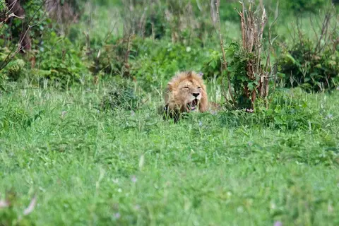 Tarangire313.jpg