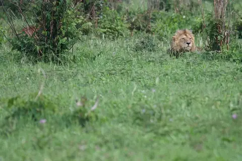Tarangire314.jpg