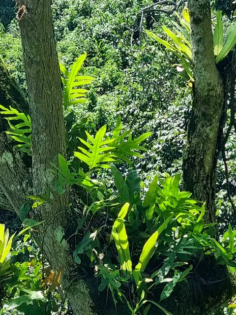 20241017_111023.JPG