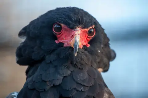 Urlaub18(1von1)-363.jpg