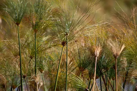 _MG_1569.jpg