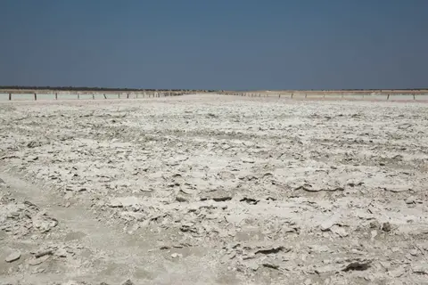 _MG_2051.jpg