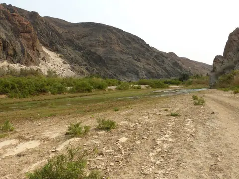 Tag09-0570.JPG