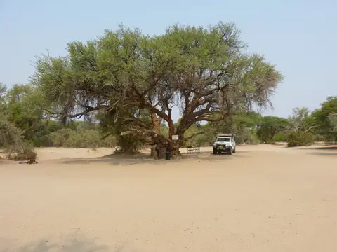 Tag09-1080.JPG