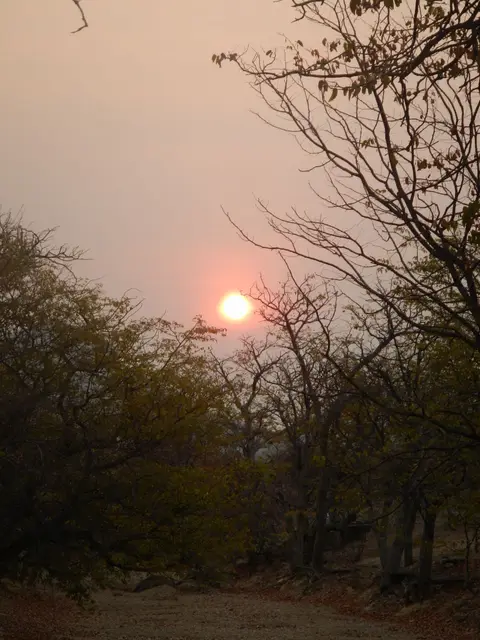 Tag10-0940.JPG