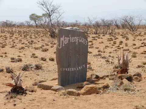 Tag11-0210.JPG