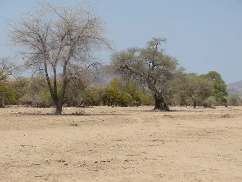 Tag14-0250.JPG